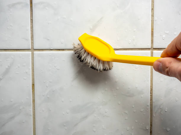 Best Kitchen Mold Remediation in Edgewood, KY